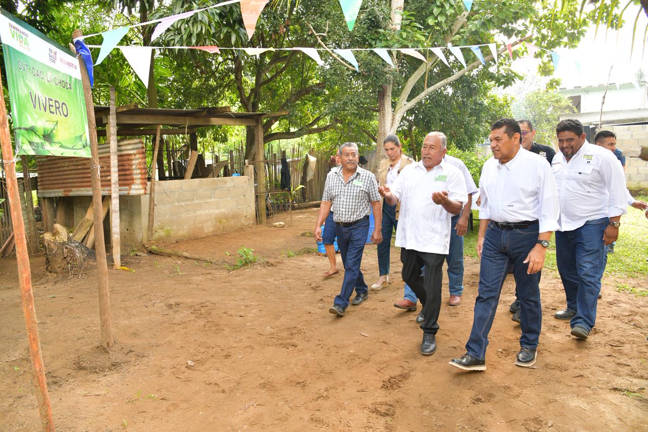 Sembrando Vida es la opción