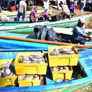 Tabasco con Pescando Vida