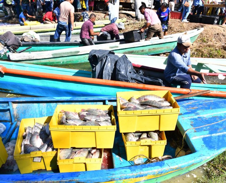 Tabasco con Pescando Vida