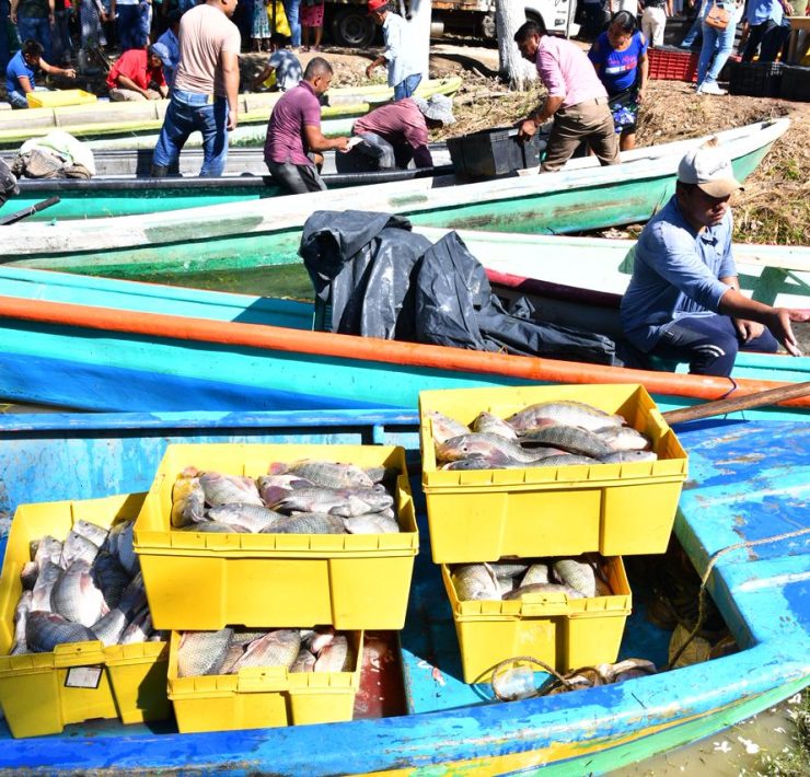 Tabasco con Pescando Vida