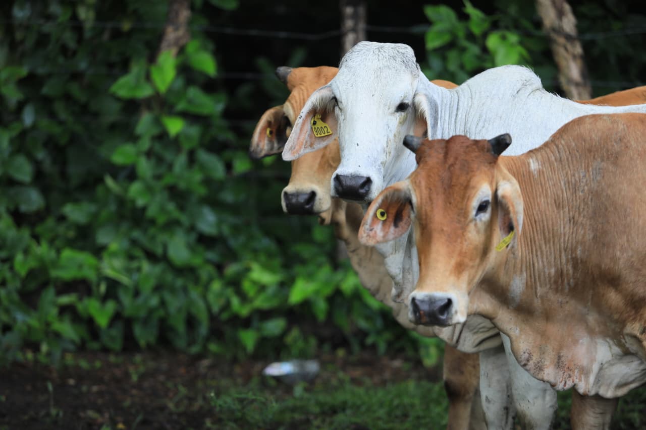 Un nuevo comienzo para mujeres productoras