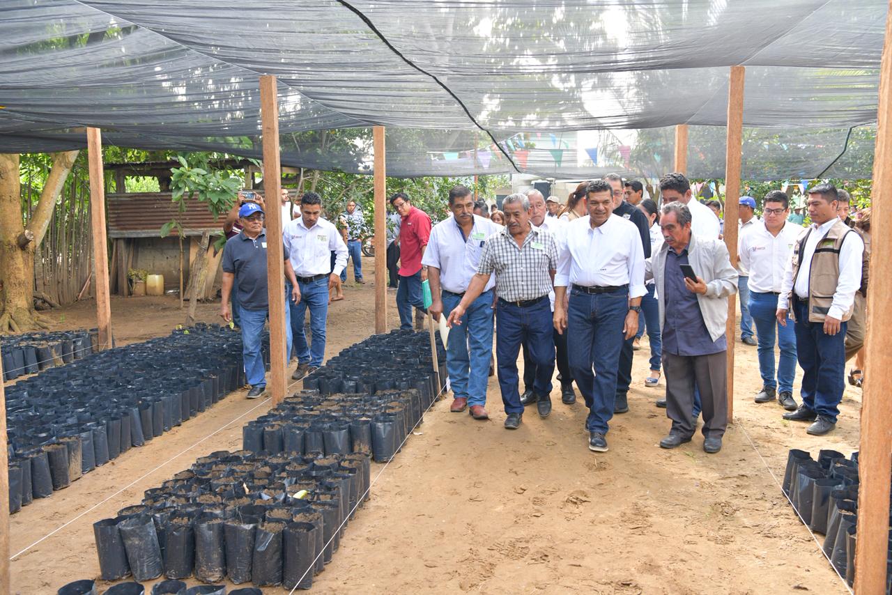 la importancia de Sembrando Vida