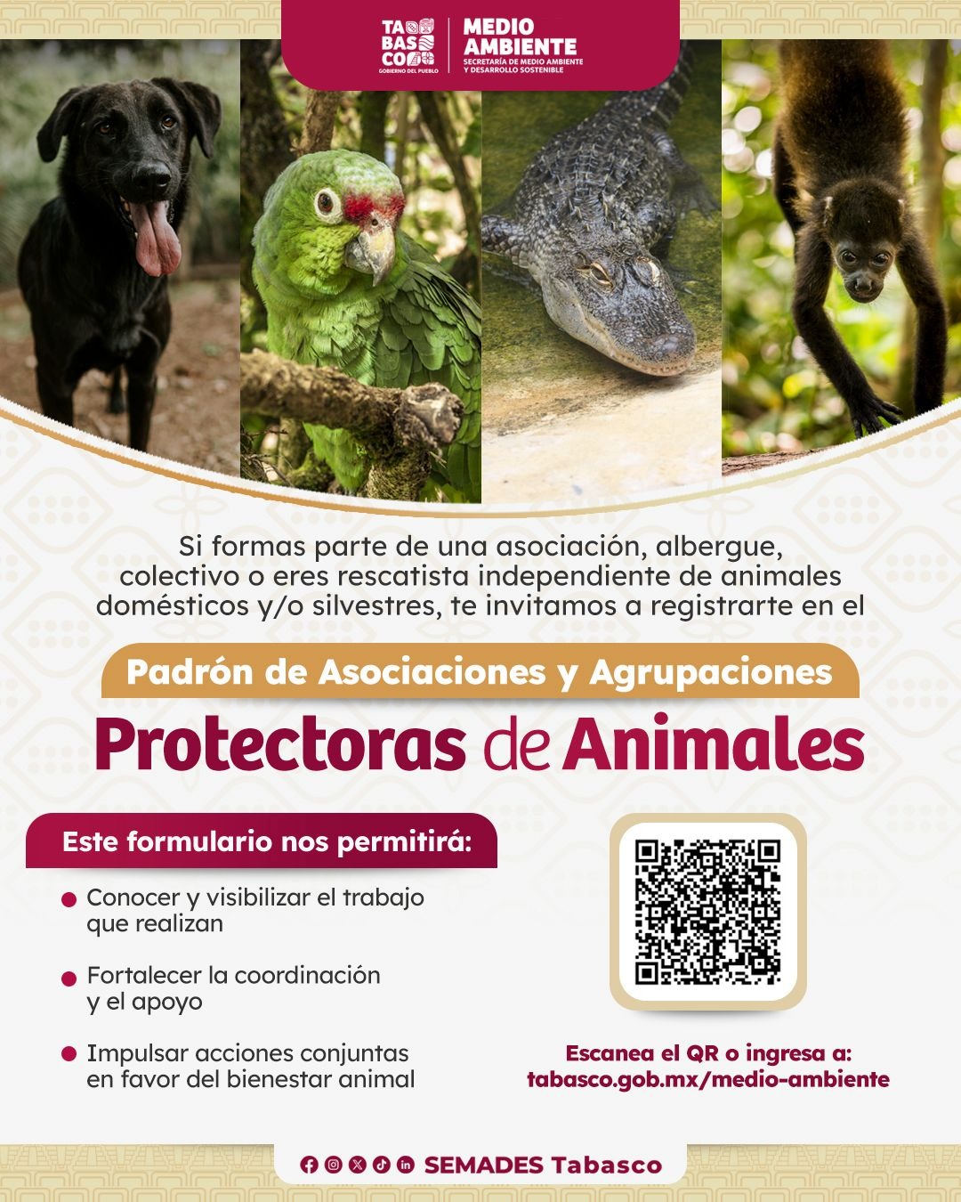 lanzamiento del Padrón de Asociaciones y Agrupaciones Protectoras de Animales