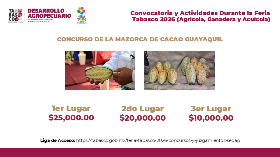 muestras de cacao guayaquil