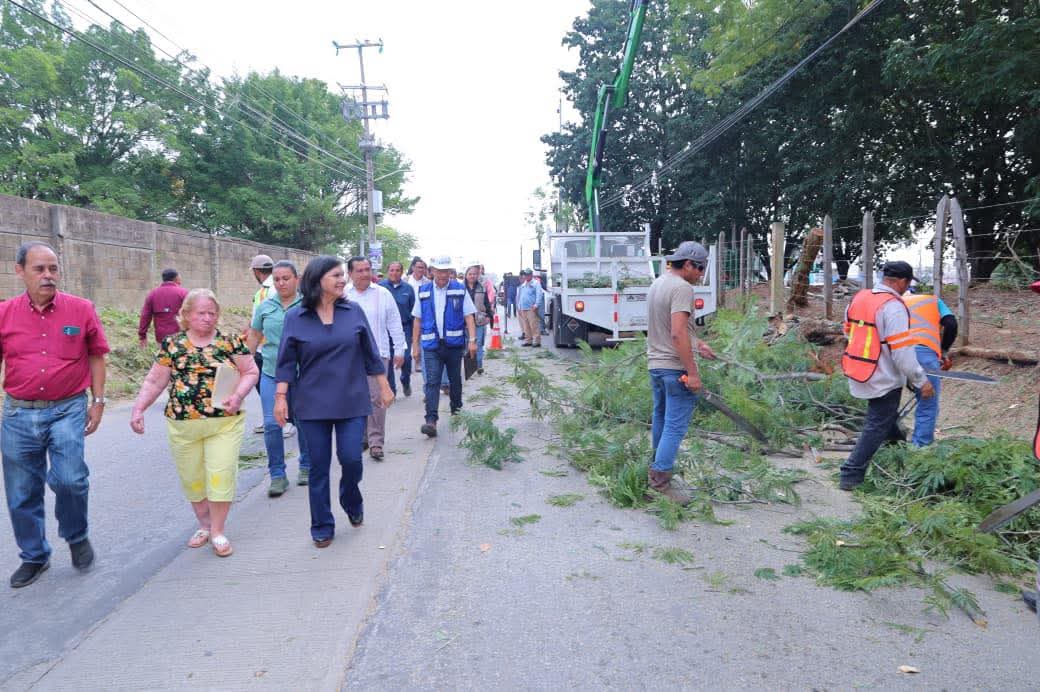 Atención directa y servicios en territorio