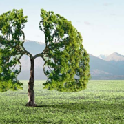 ¿El aire se está limpiando? o ¿Nos estamos adaptando a la contaminación?