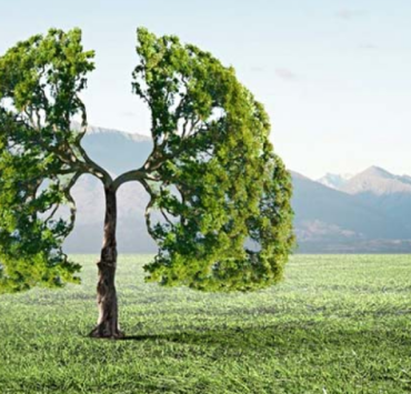 ¿El aire se está limpiando? o ¿Nos estamos adaptando a la contaminación?