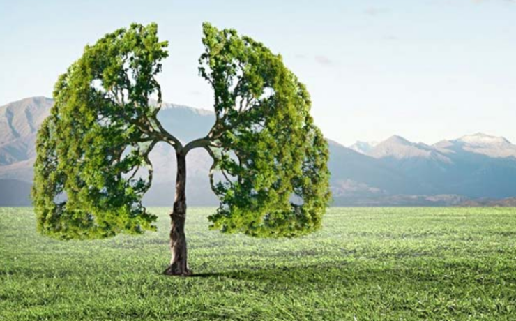 ¿El aire se está limpiando? o ¿Nos estamos adaptando a la contaminación?