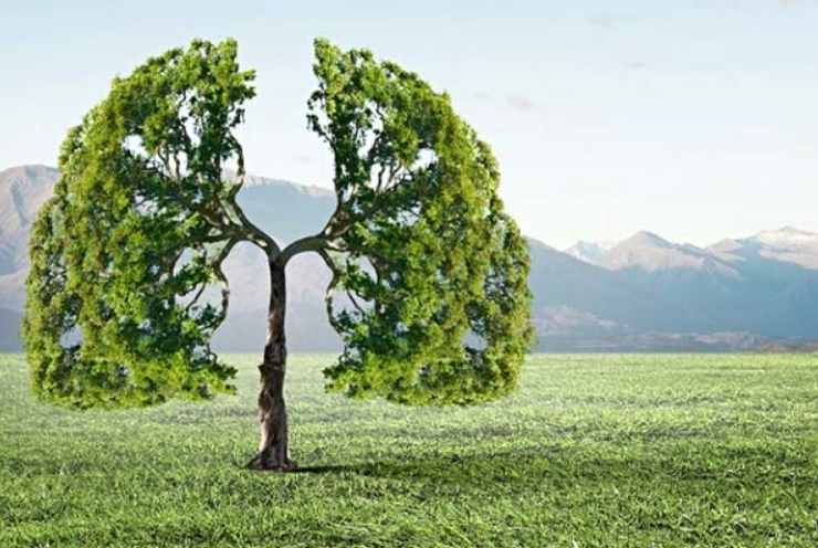 ¿El aire se está limpiando? o ¿Nos estamos adaptando a la contaminación?