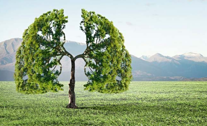 ¿El aire se está limpiando? o ¿Nos estamos adaptando a la contaminación?