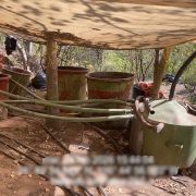 Desmantelan laboratorio clandestino