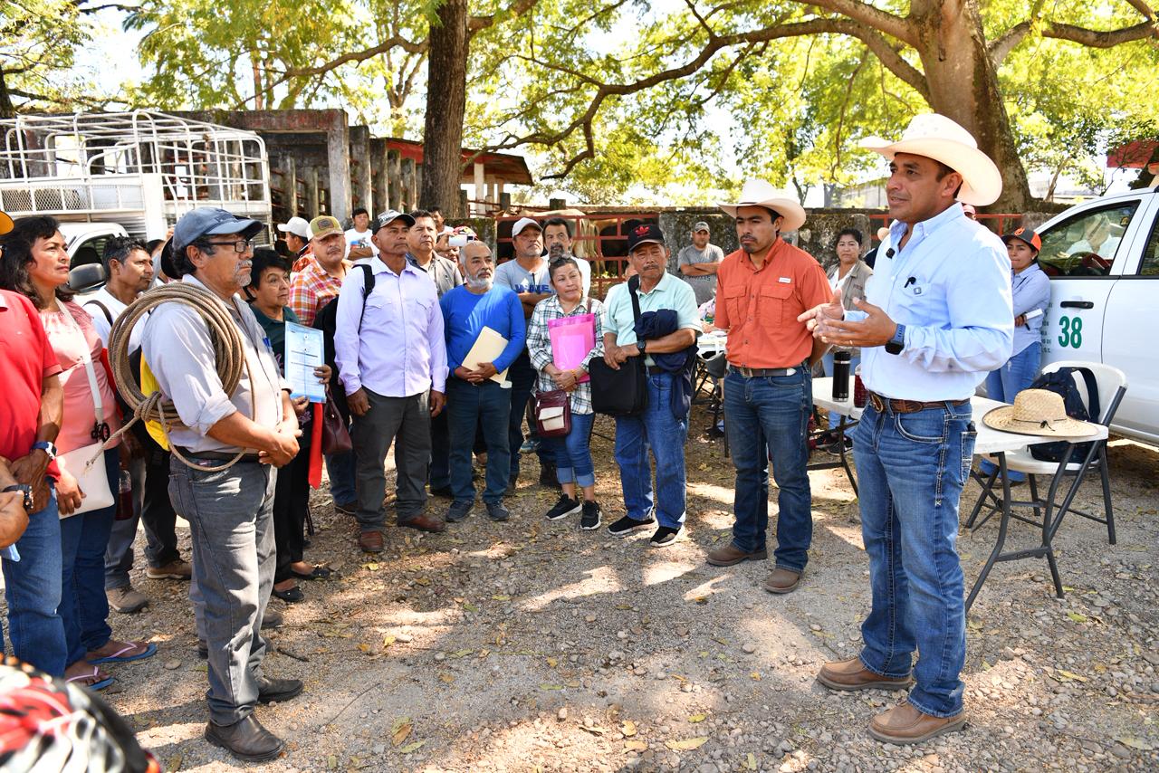 Llamado a cuidar el ganado y fortalecer la producción