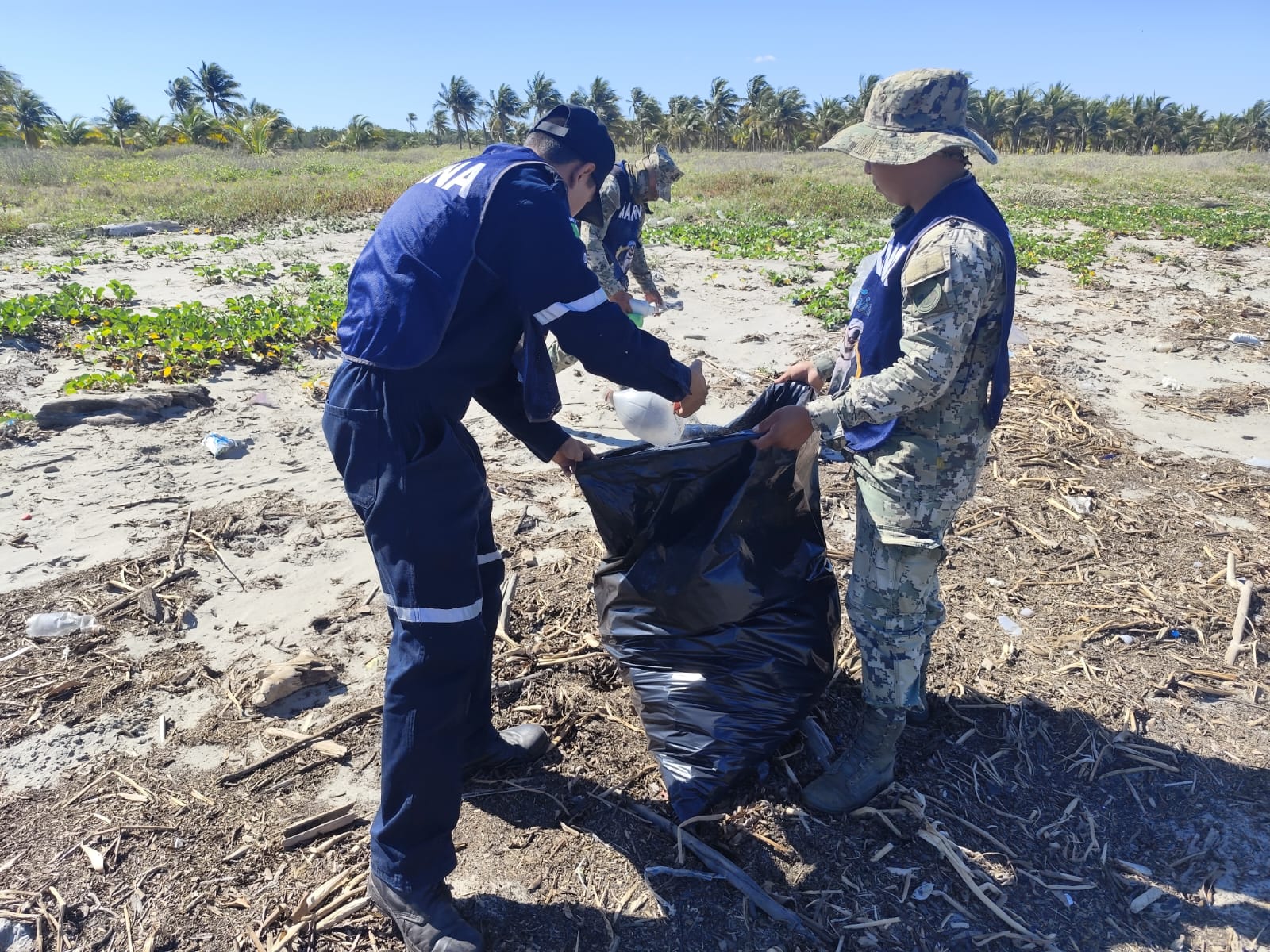 Marina realiza Jornada de Limpieza en Playa
