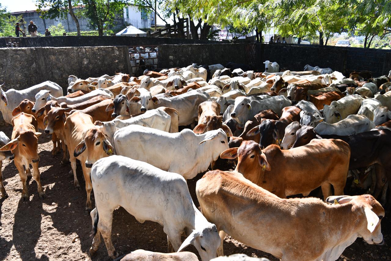 Productores reconocen apoyo tras años de rezago