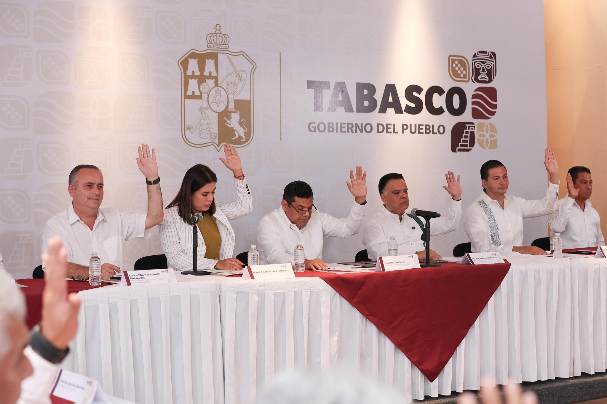 Programa Estatal para el Desarrollo e Inclusión de las Personas con Discapacidad 