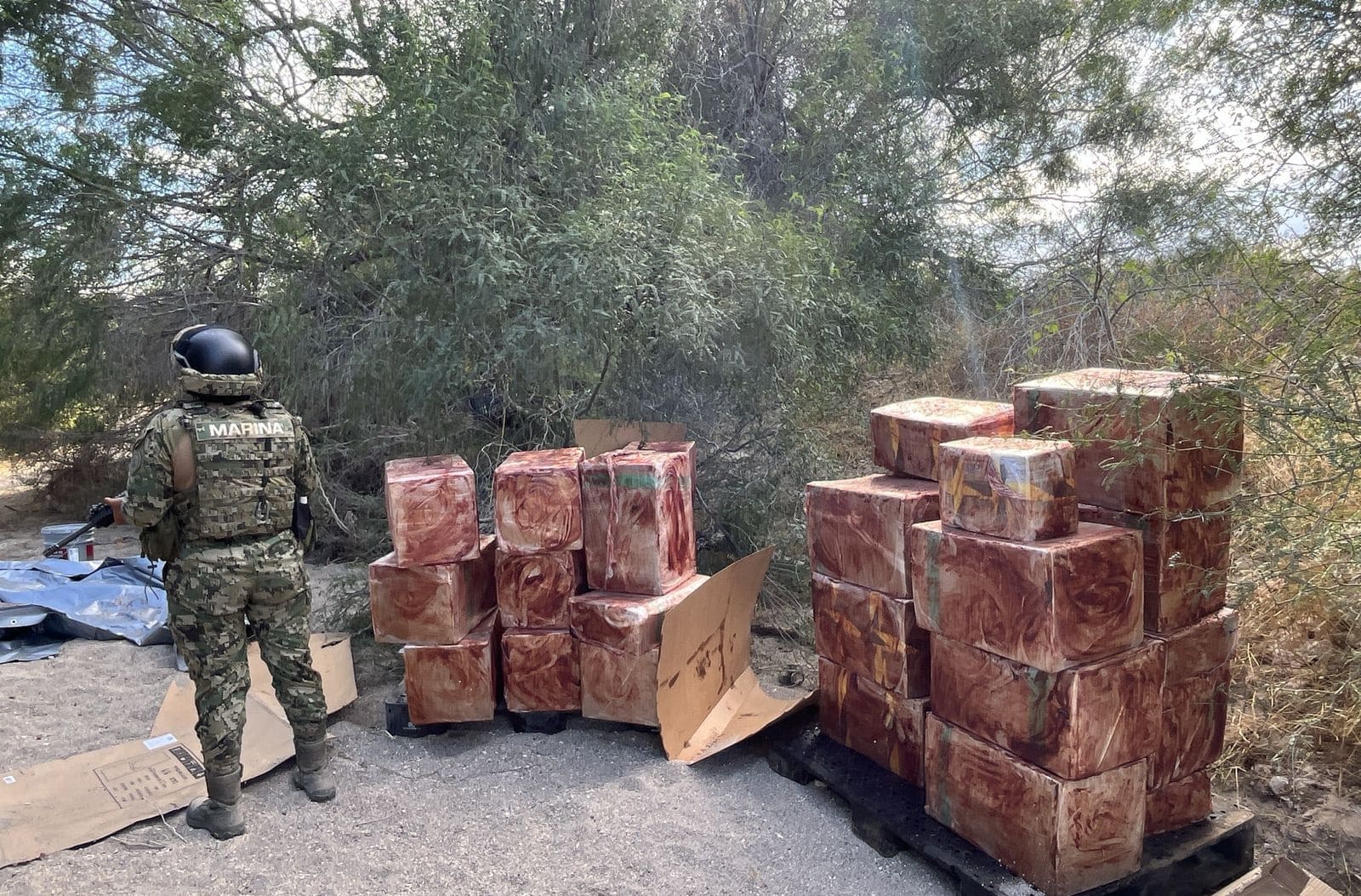 Refuerzan acciones contra el crimen organizado