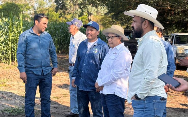 Segundo Concurso de la Mazorca de Maíz Criollo