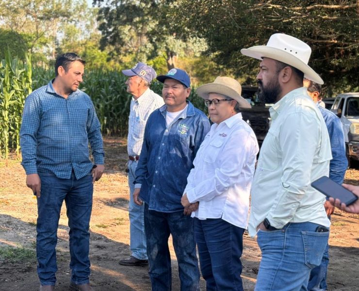 Segundo Concurso de la Mazorca de Maíz Criollo