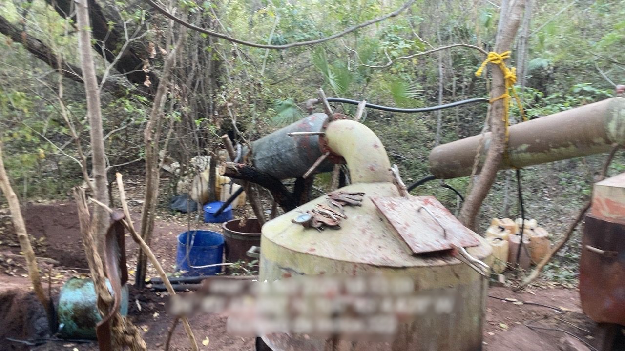 aseguramiento representa una afectación económica 