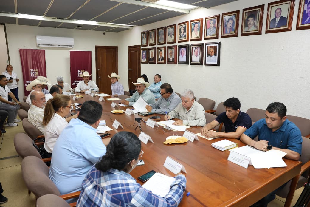 Acuerdos institucionales para agilizar procesos