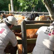 Con cero casos de tuberculosis Jalpa de Méndez concluye barrido sanitario