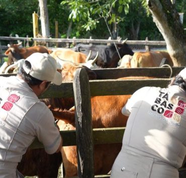Con cero casos de tuberculosis Jalpa de Méndez concluye barrido sanitario