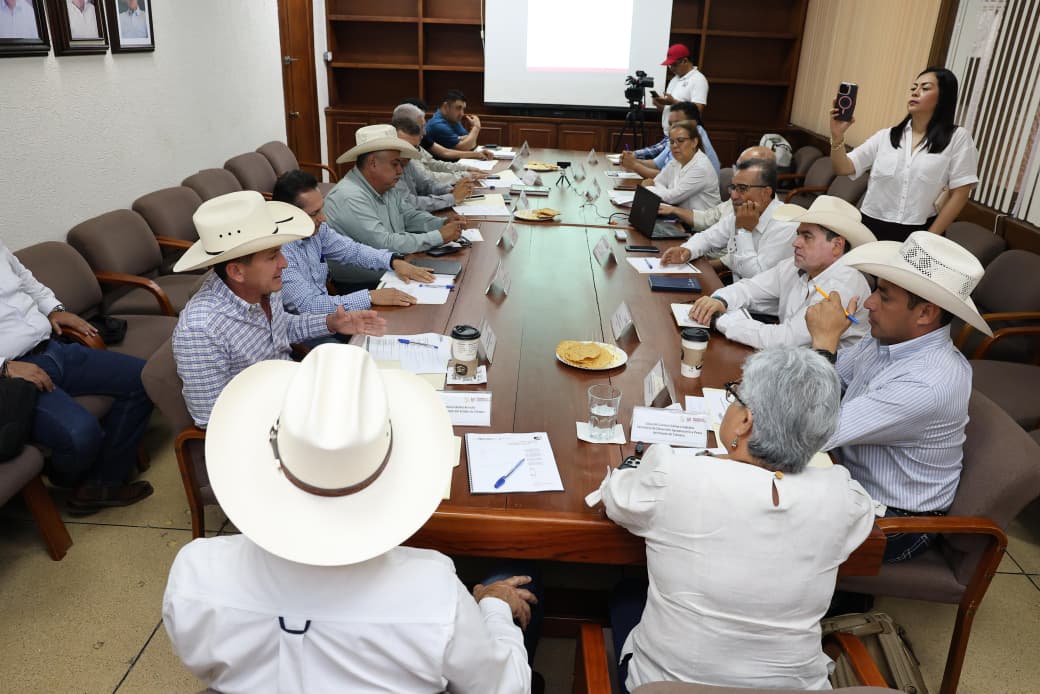 Blindaje sanitario y diagnóstico regional