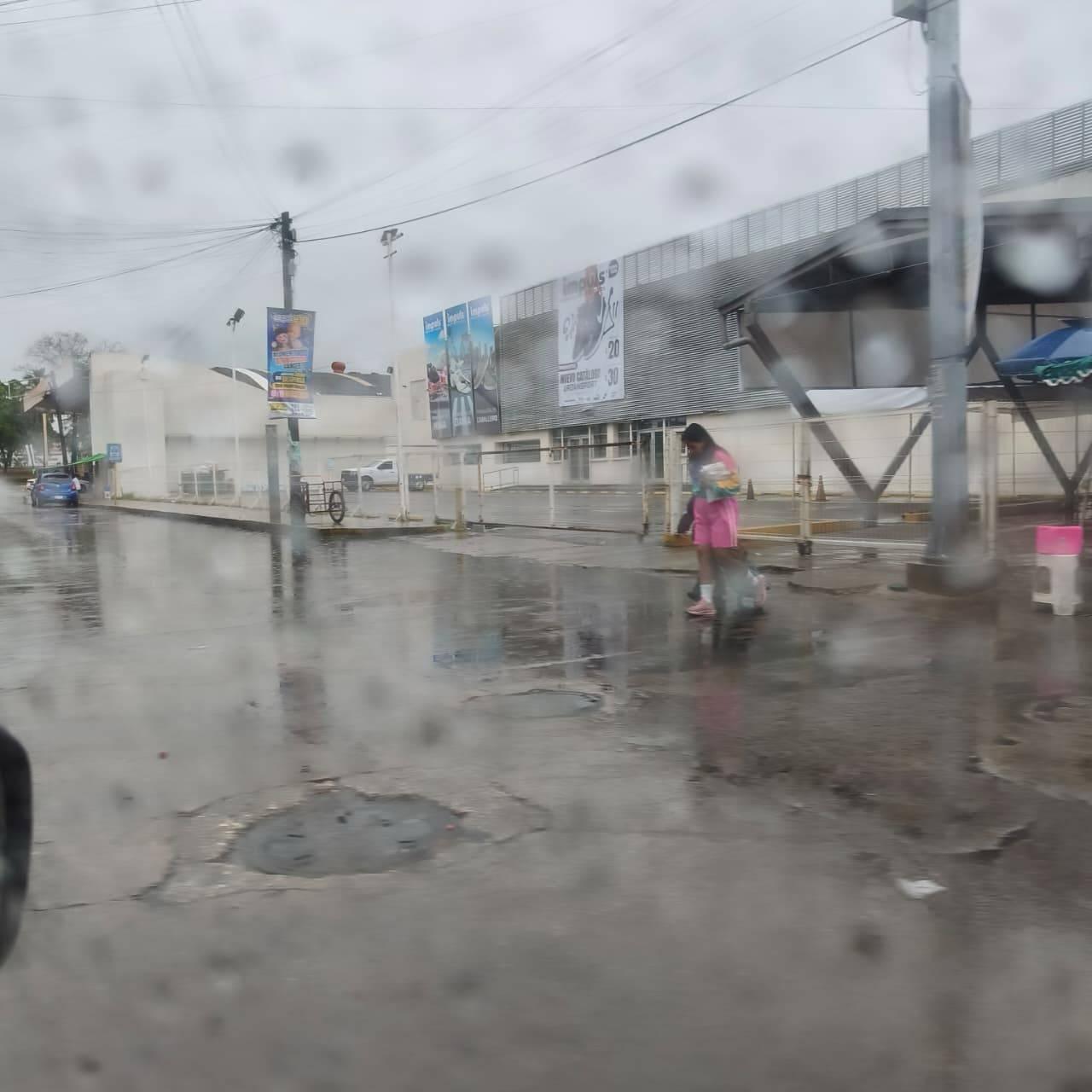 Las afectaciones se reportan en colonias y fraccionamientos