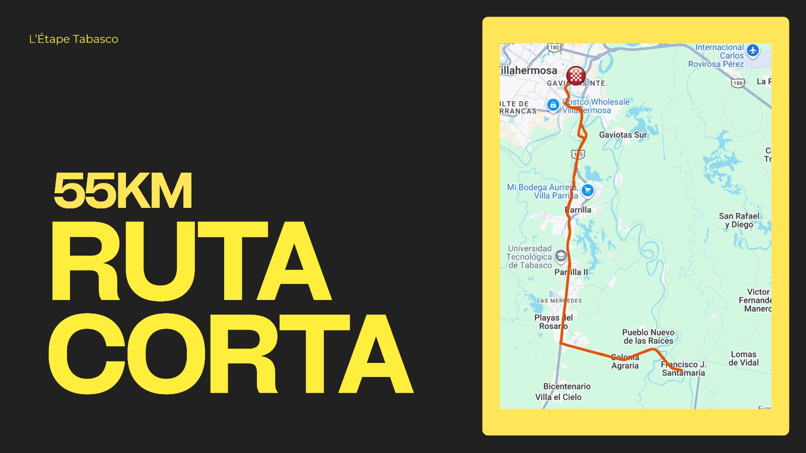 Proyección internacional y visión a largo plazo