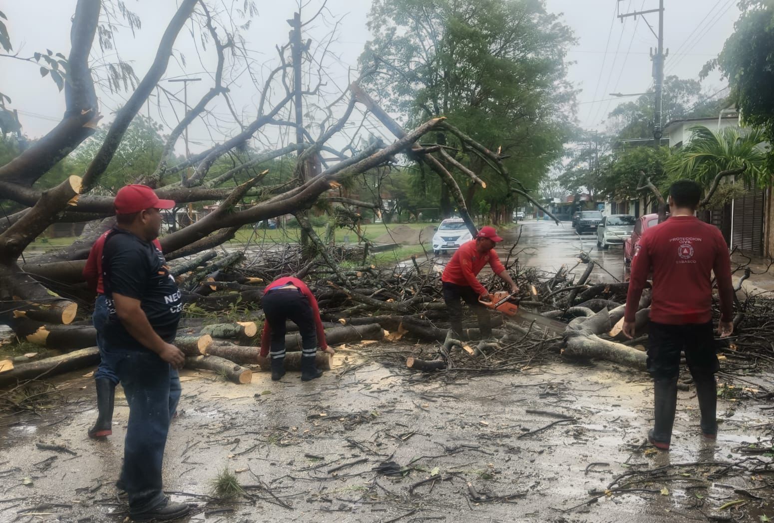 Viviendas afectadas y daños materiales