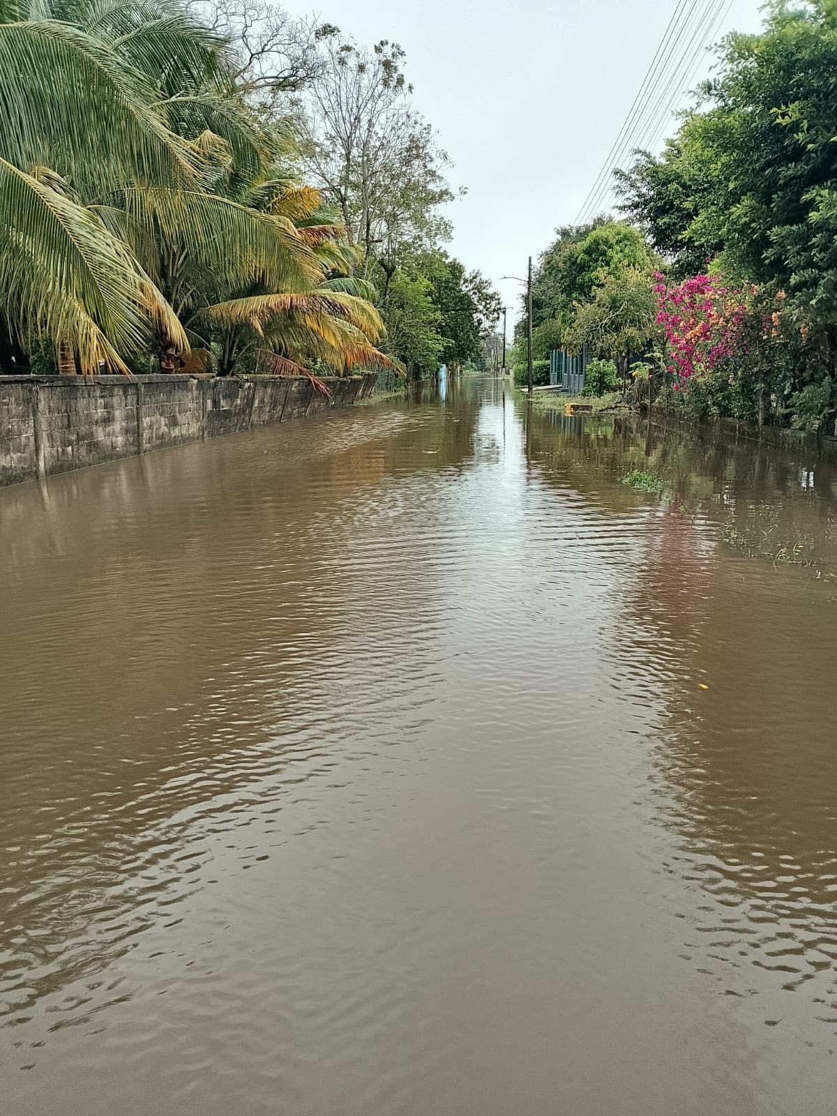 temporada de lluvias
