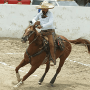 Charros impulsan reconocimiento del Día Estatal del Caballo