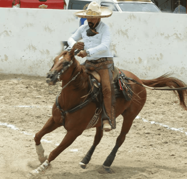 Charros impulsan reconocimiento del Día Estatal del Caballo
