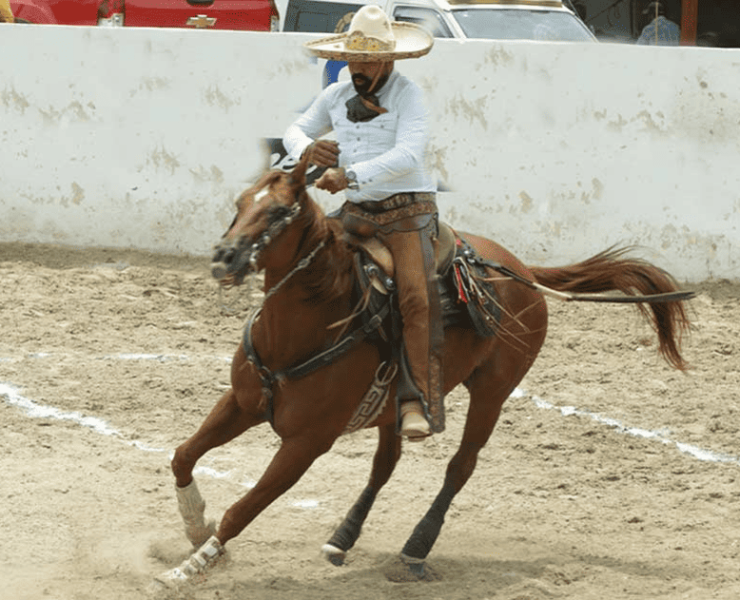 Charros impulsan reconocimiento del Día Estatal del Caballo