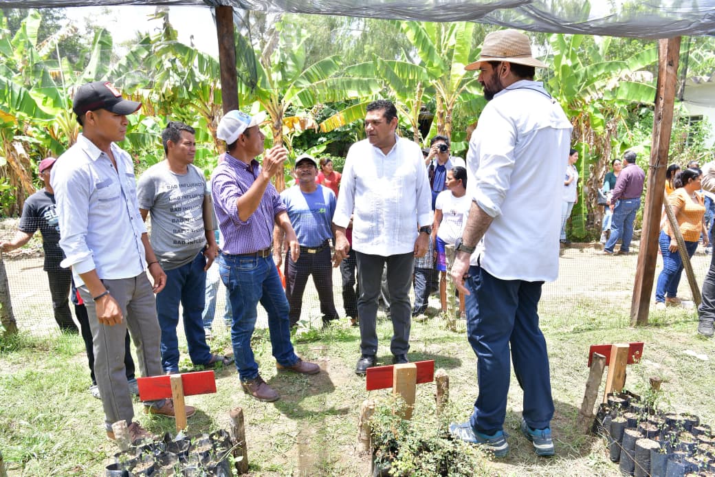 Gobierno del Pueblo en Palomillar 