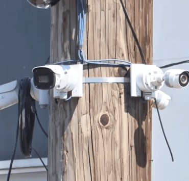 Proponen sancionar el halconeo