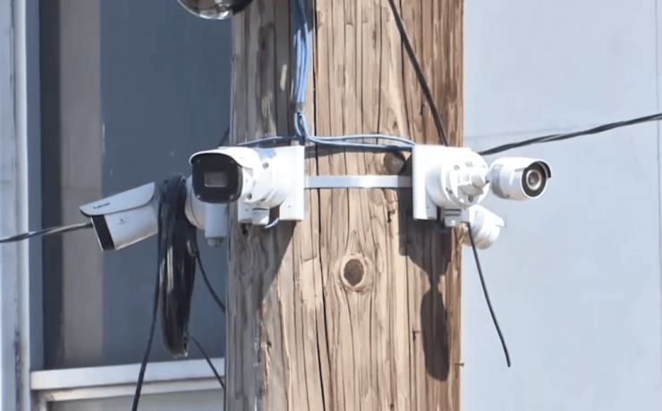 Proponen sancionar el halconeo