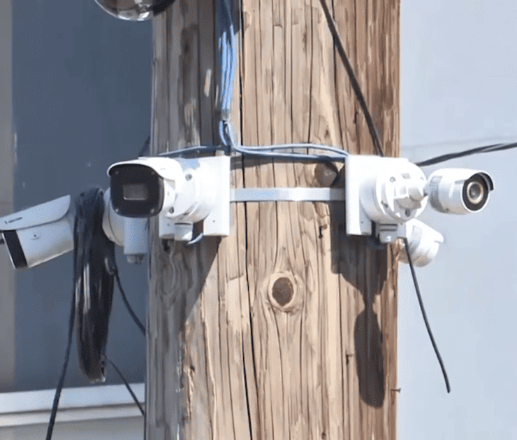 Proponen sancionar el halconeo