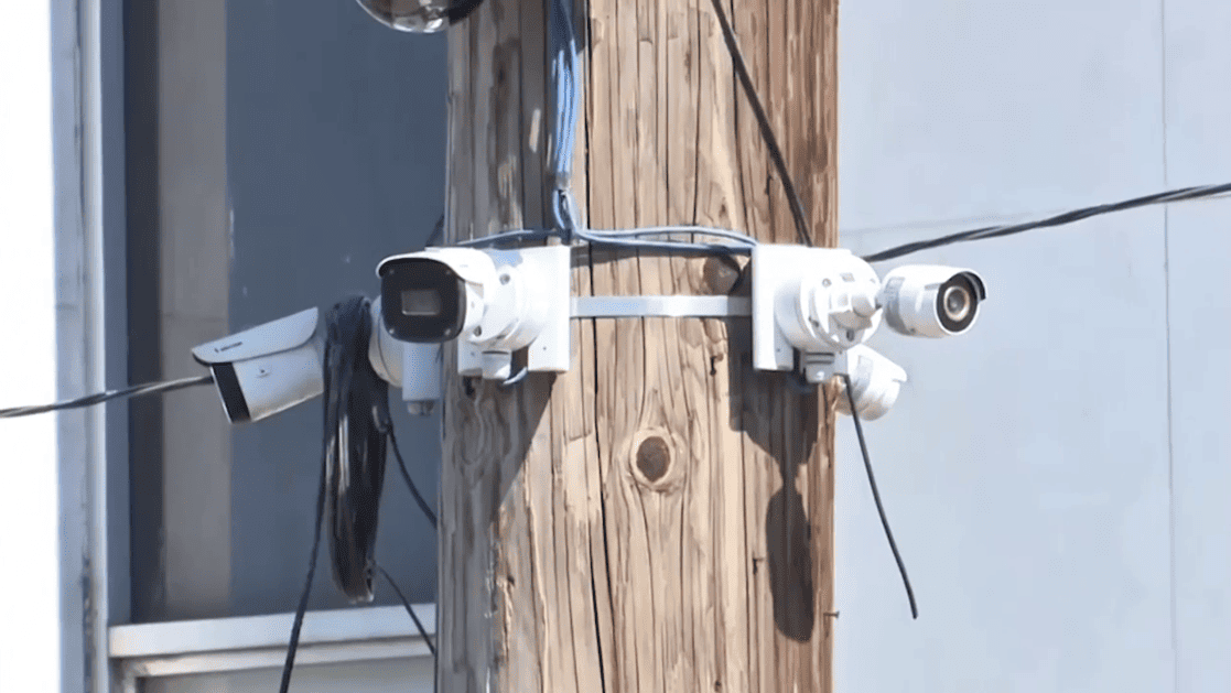 Proponen sancionar el halconeo