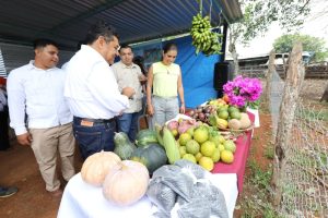El gobernador Javier May Rodríguez supervisa en Jalapa el Efecto multiplicador del programa Sembrando Vida, destacando su impacto en la economía local y el bienestar de las familias campesinas.