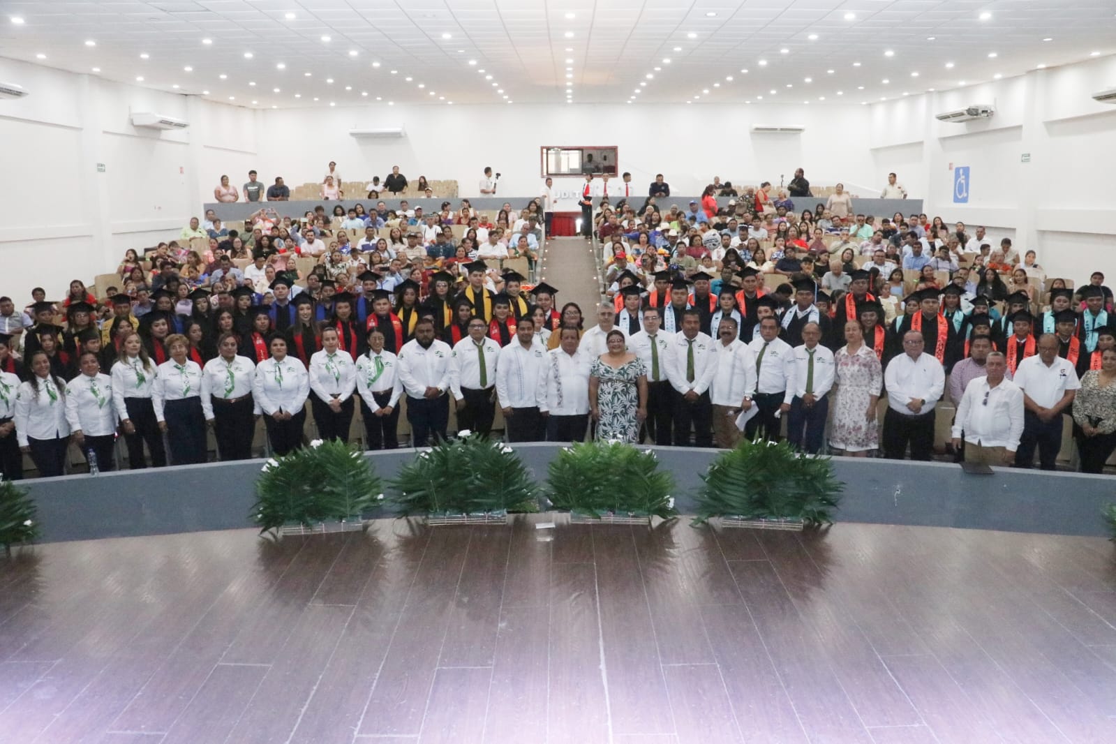 Universidad Alfa y Omega