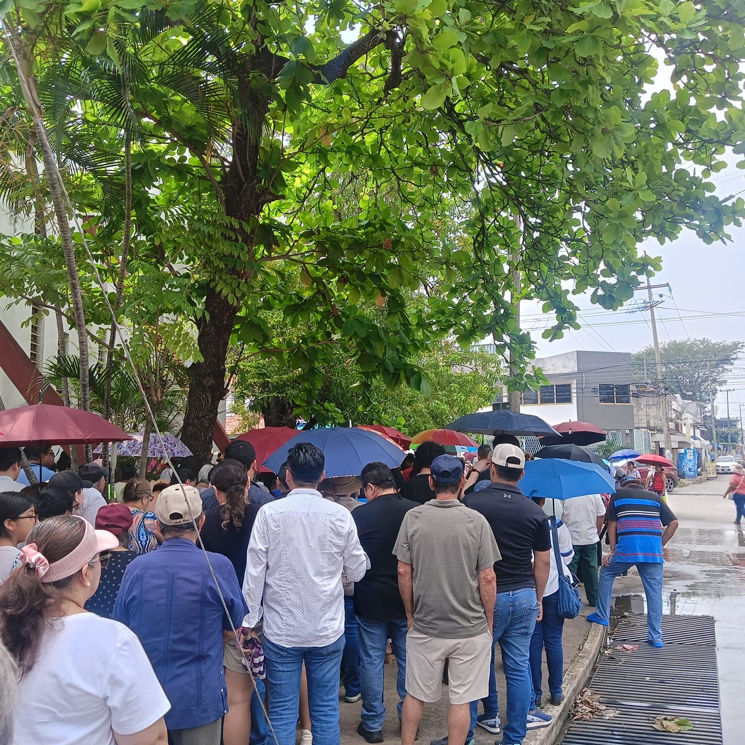 comité de la comunidad de feligreses