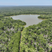 Declaran Área Natural Protegida la Reserva Ecológica Cinco Lagunas en Comalcalco