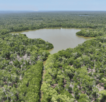 Declaran Área Natural Protegida la Reserva Ecológica Cinco Lagunas en Comalcalco