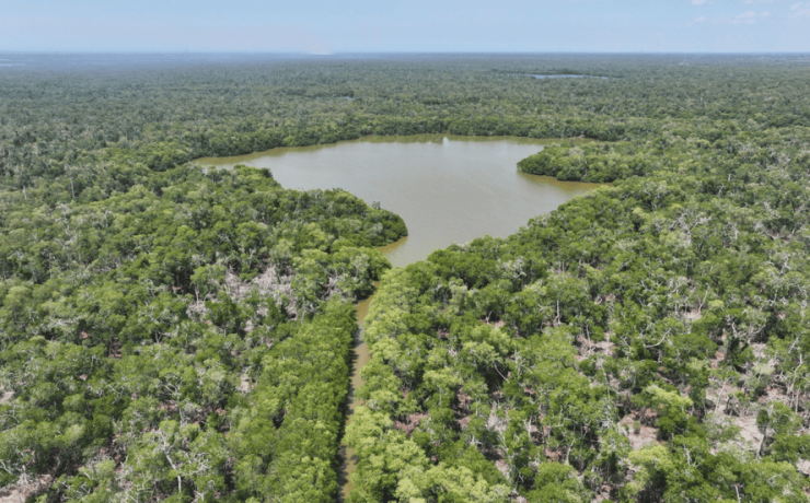 Declaran Área Natural Protegida la Reserva Ecológica Cinco Lagunas en Comalcalco