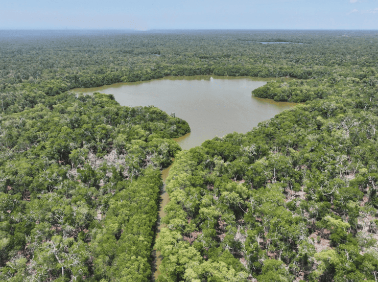 Declaran Área Natural Protegida la Reserva Ecológica Cinco Lagunas en Comalcalco