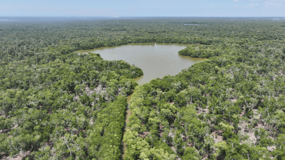 Declaran Área Natural Protegida la Reserva Ecológica Cinco Lagunas en Comalcalco