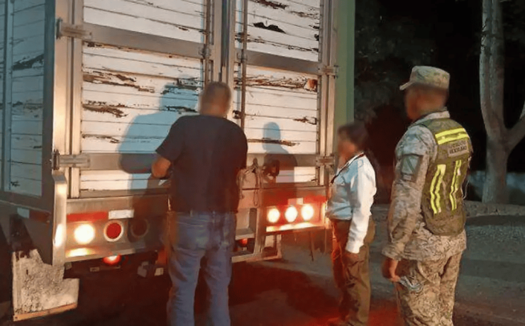 Aseguran 53 animales silvestres en Tabasco