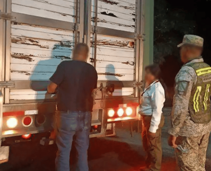 Aseguran 53 animales silvestres en Tabasco