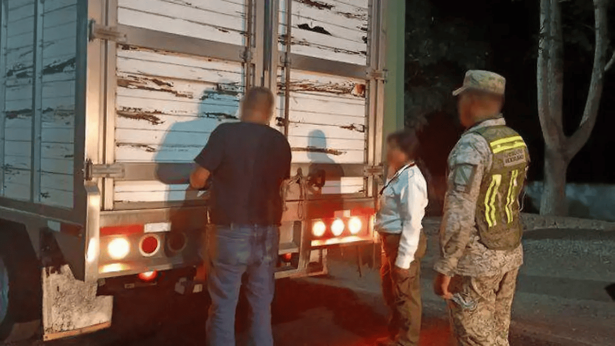 Aseguran 53 animales silvestres en Tabasco